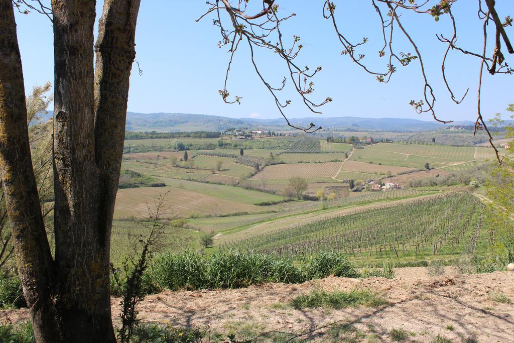 Bio Agriturismo Podere Pretoia San Gimignano Exterior foto